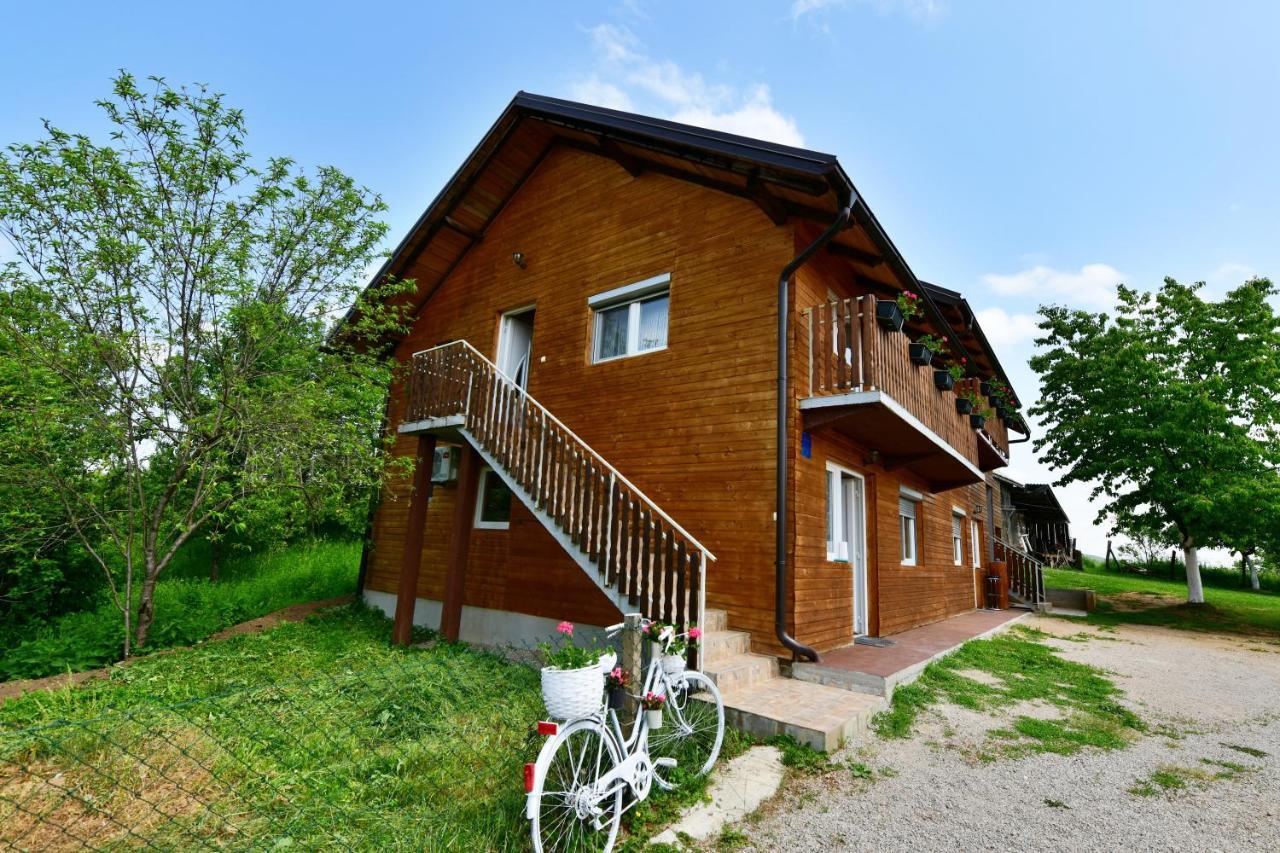 Apartments Laura Rakovica Buitenkant foto