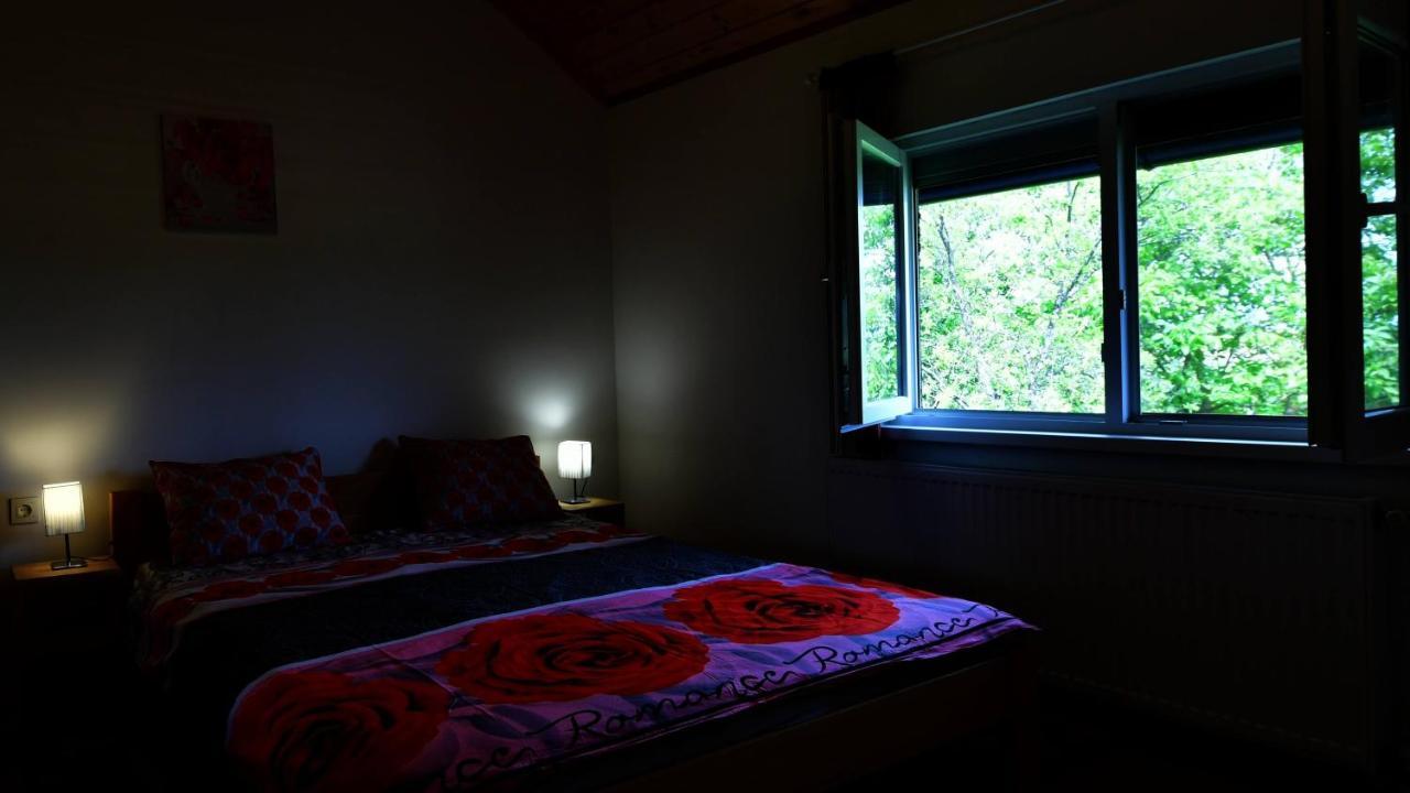 Apartments Laura Rakovica Buitenkant foto